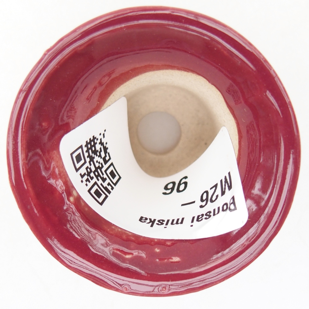 Mini bonsai 4,5 x 4,5 x 4 cm, colore bordeaux