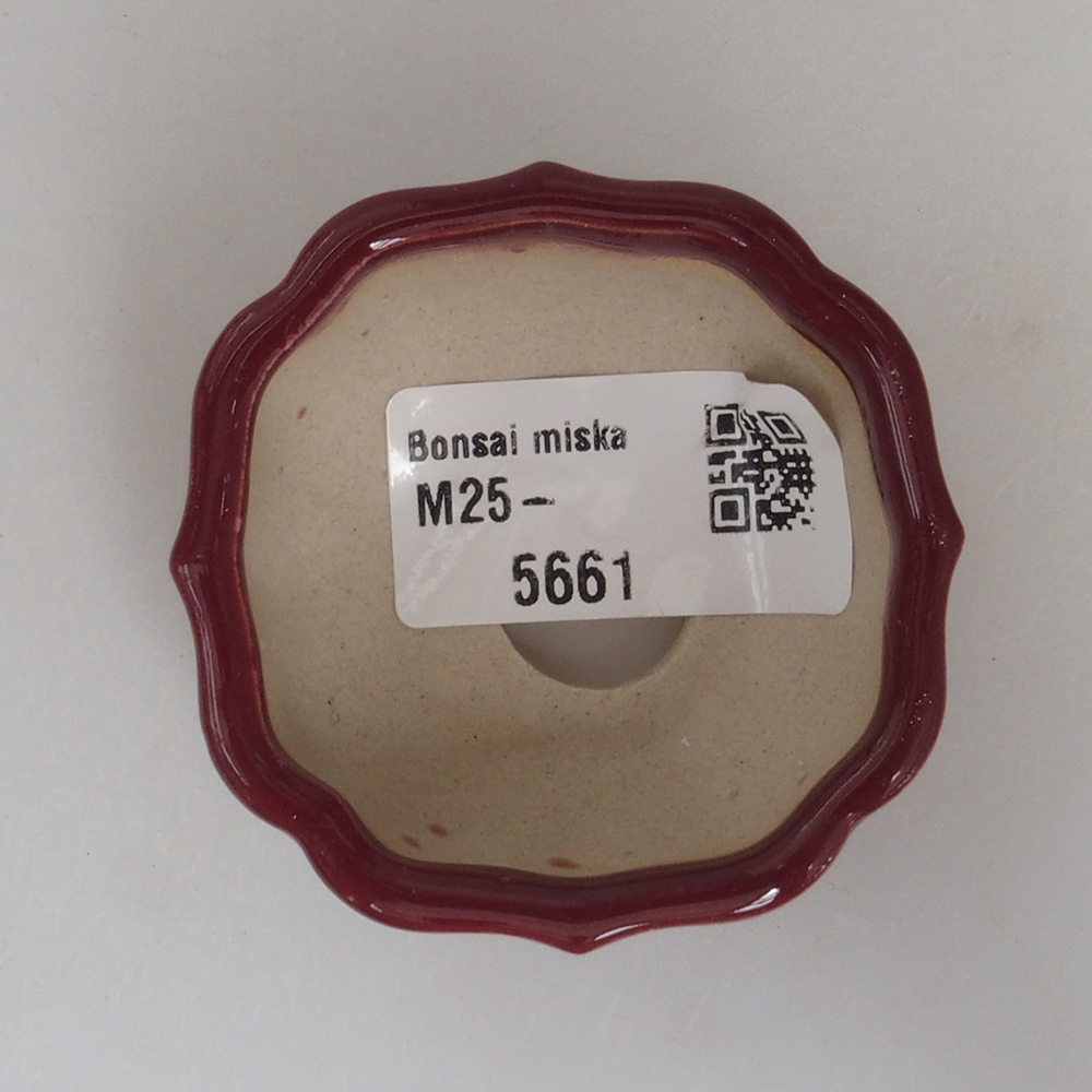 Mini bonsai 5,5 x 5,5 x 2,5 cm, bordeaux