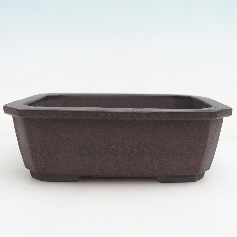 Ciotola per bonsai in ceramica 15 x 11 x 5 cm, marrone ocra