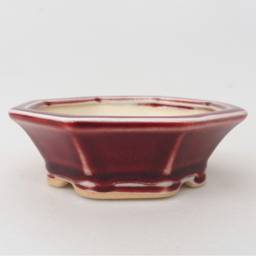 Mini bonsai 11 x 10 x 3,5 cm, colore rosso