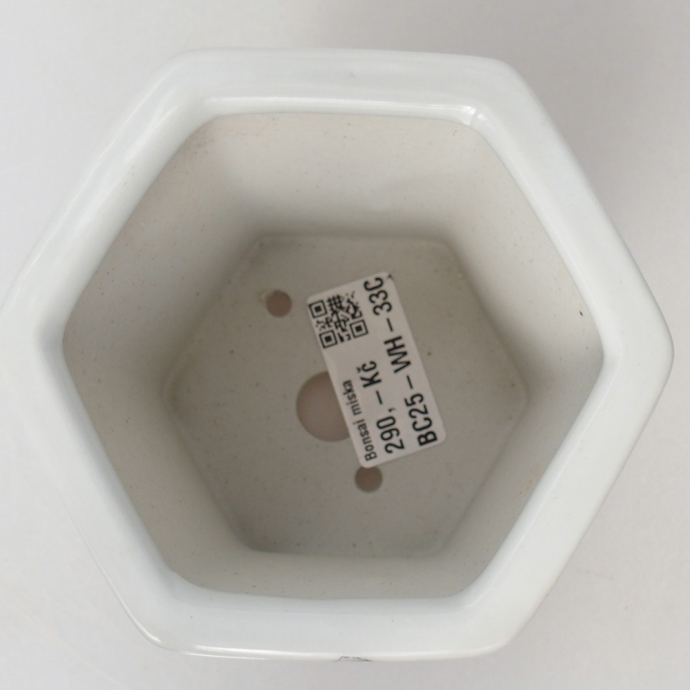 Ciotola per bonsai in ceramica 10,5 x 9,5 x 9 cm, colore bianco