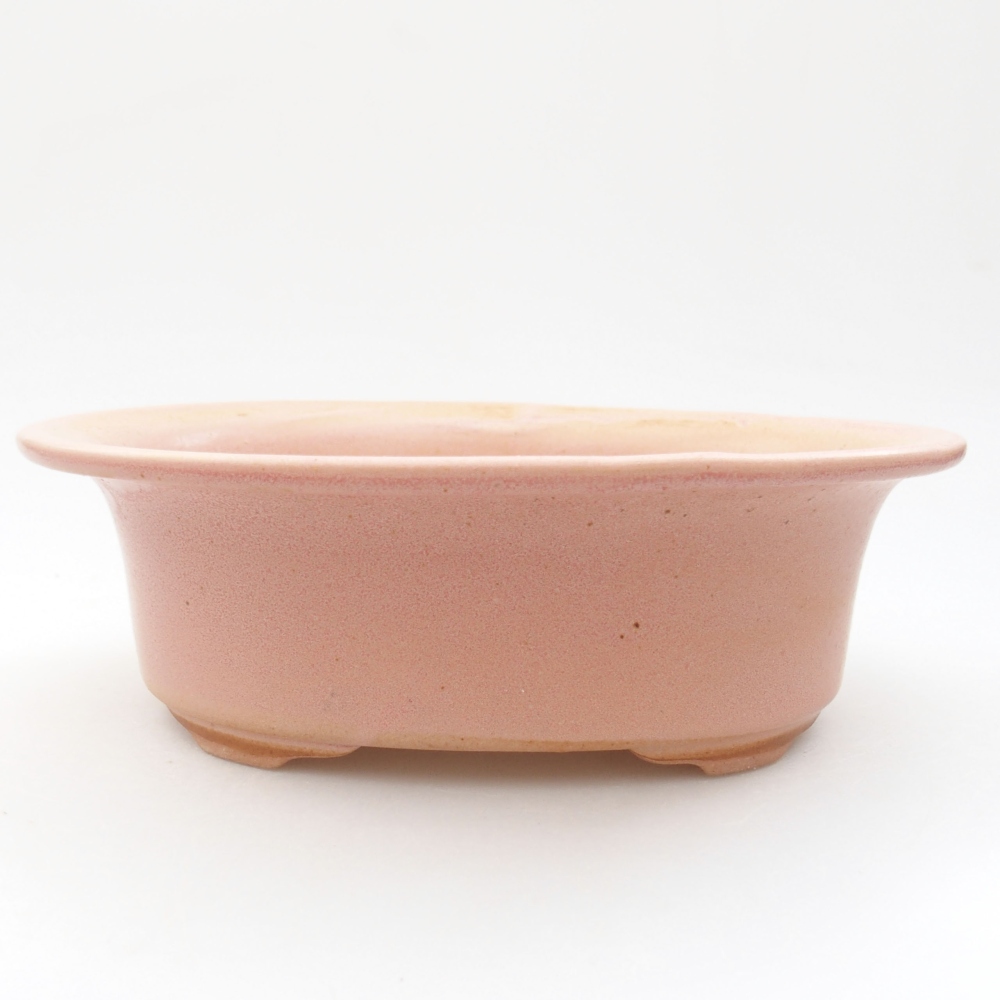 Ciotola bonsai in ceramica 22 x 17 x 5 cm, verde