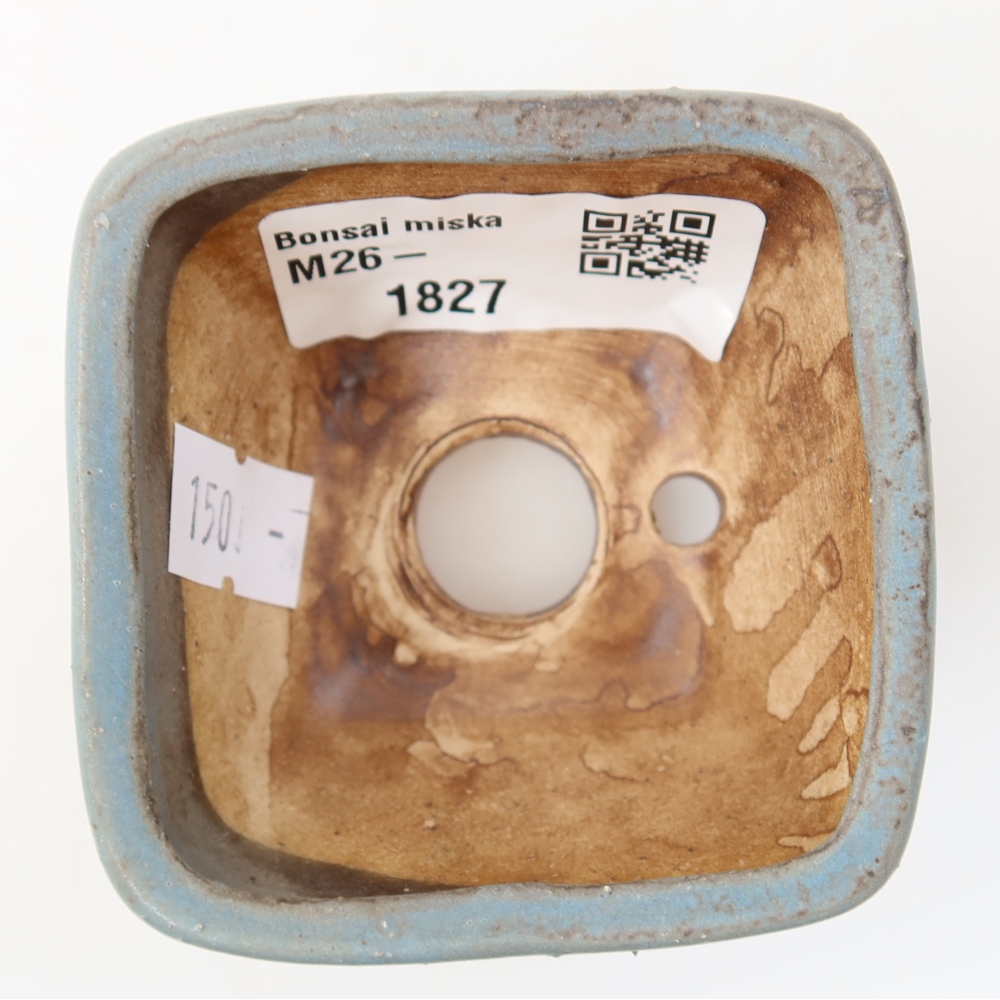 Vaso da bonsai in ceramica 6 x 6 x 4 cm, colore blu