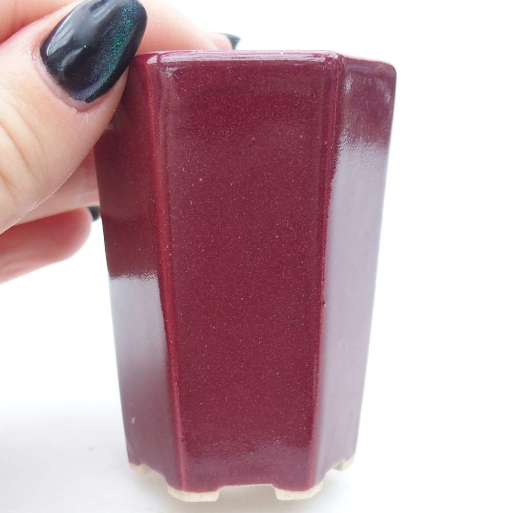 Ciotola per mini bonsai 5 x 4,5 x 6,5 cm, bordeaux