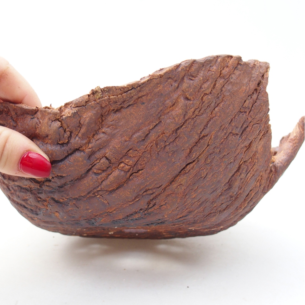 Conchiglia in ceramica 20 x 20 x 8 cm , colore marrone