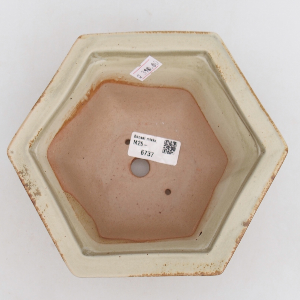 Ciotola per bonsai in ceramica 18,5 x 16,5 x 9 cm, verde