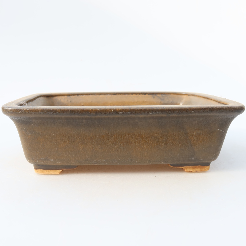 Ciotola bonsai in ceramica 17,5 x 14,5 x 5 cm, marrone