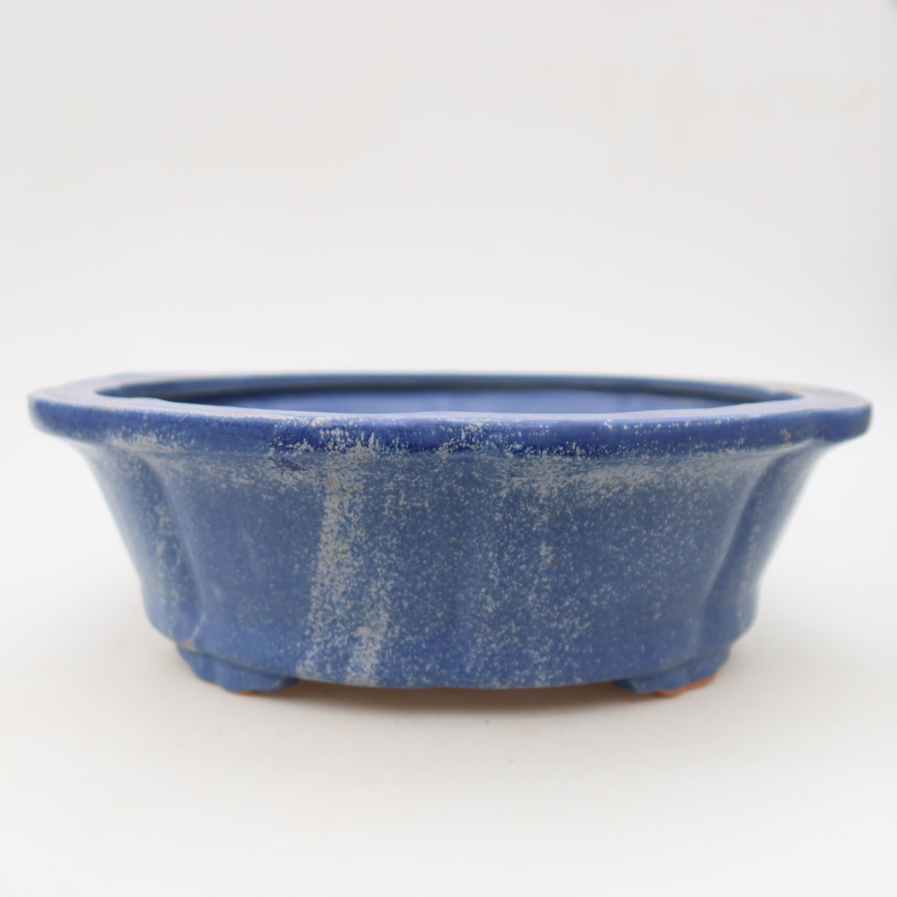 Ciotola bonsai in ceramica 26,5 x 26,5 x 8,5 cm, colore blu