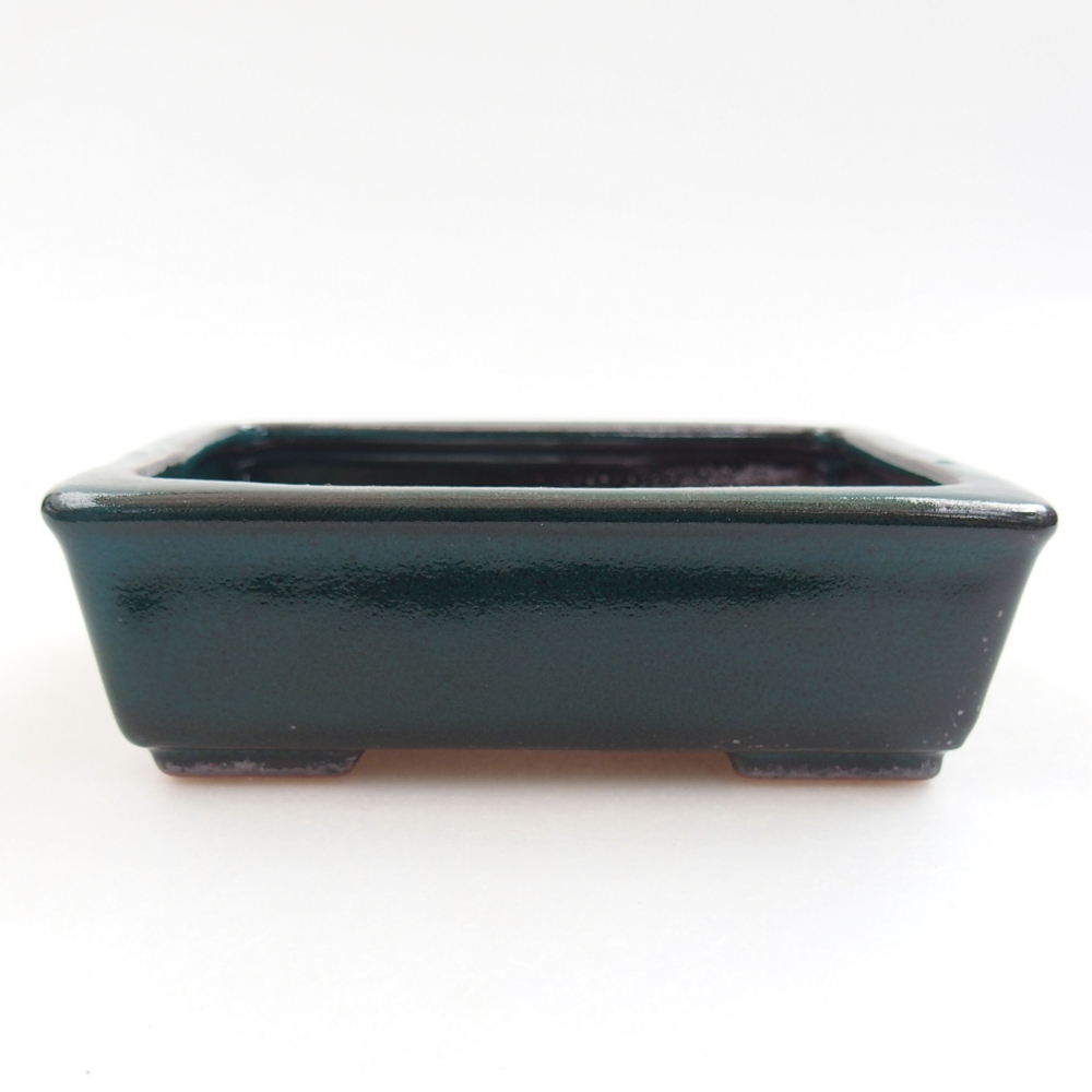 Ciotola bonsai in ceramica 22 x 17 x 5 cm, verde