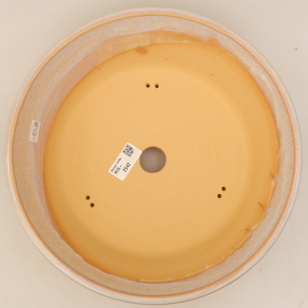 Vaso da bonsai in ceramica 29,5 x 29,5 x 8 cm, colore beige