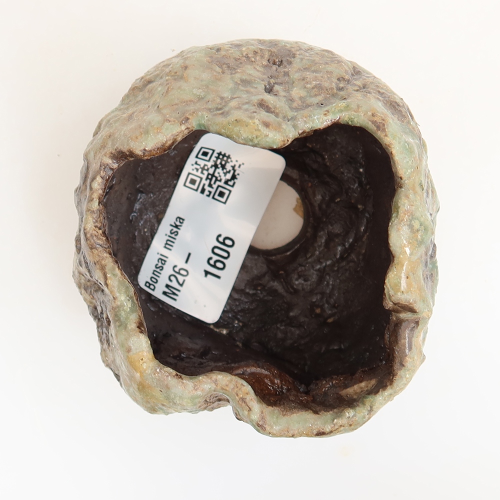 Guscio in ceramica  5,5 x 5,5 x 5,5 cm, colore verde