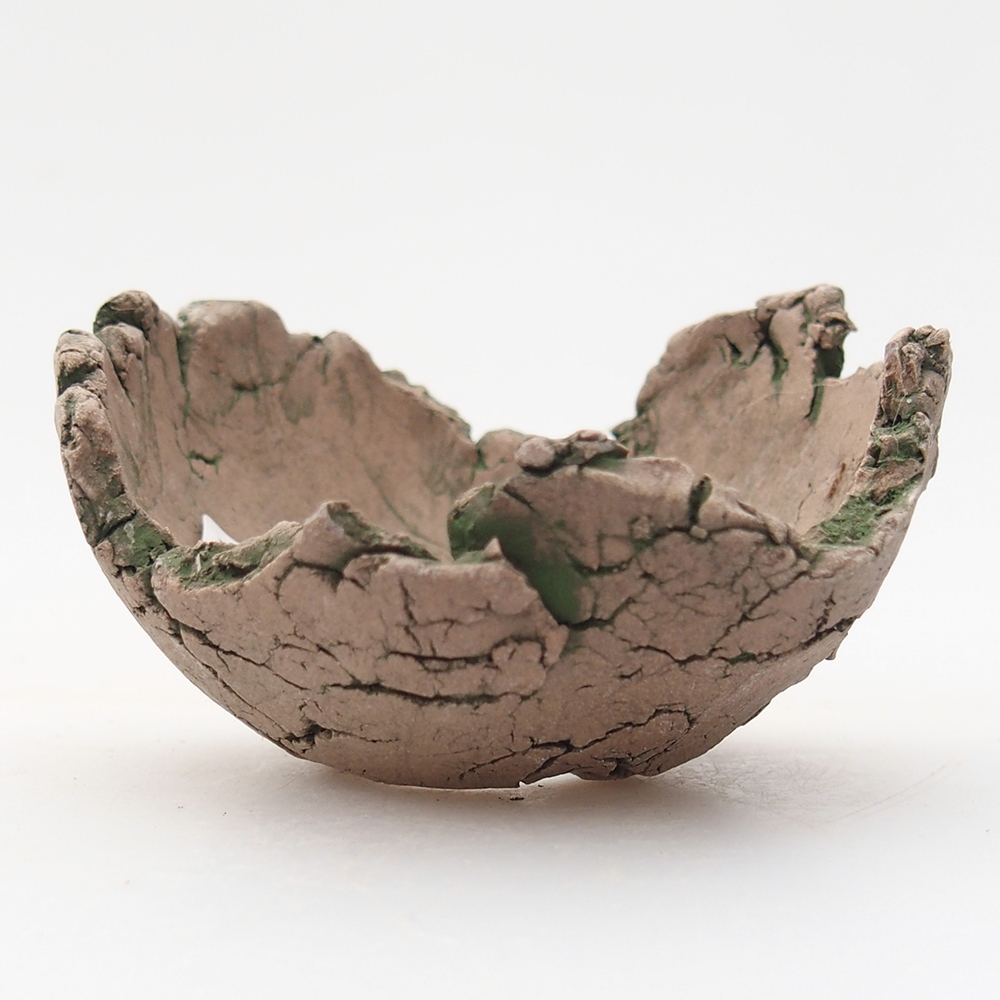 Conchiglia in ceramica 7 x 7 x 4 cm , colore verde