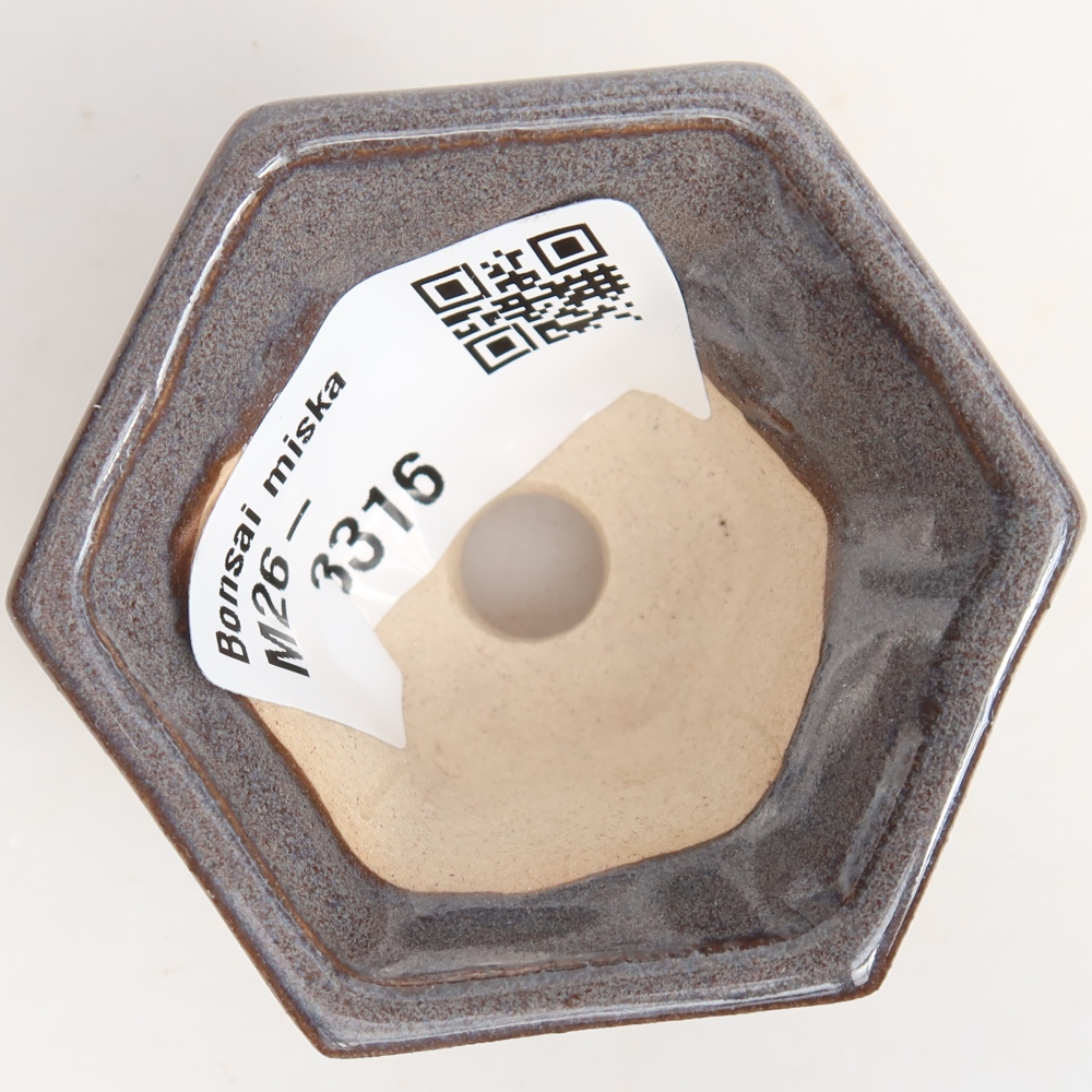 Vaso in ceramica per bonsai, 5,5 x 5 x 3 cm, colore grigio