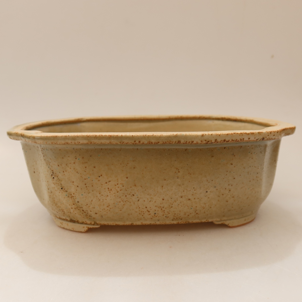 Ciotola bonsai in ceramica 22,5 x 17,5 x 7,5 cm, colore beige