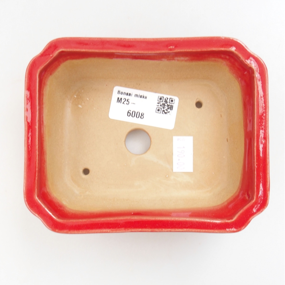 Ciotola bonsai in ceramica 22 x 17 x 5 cm, verde