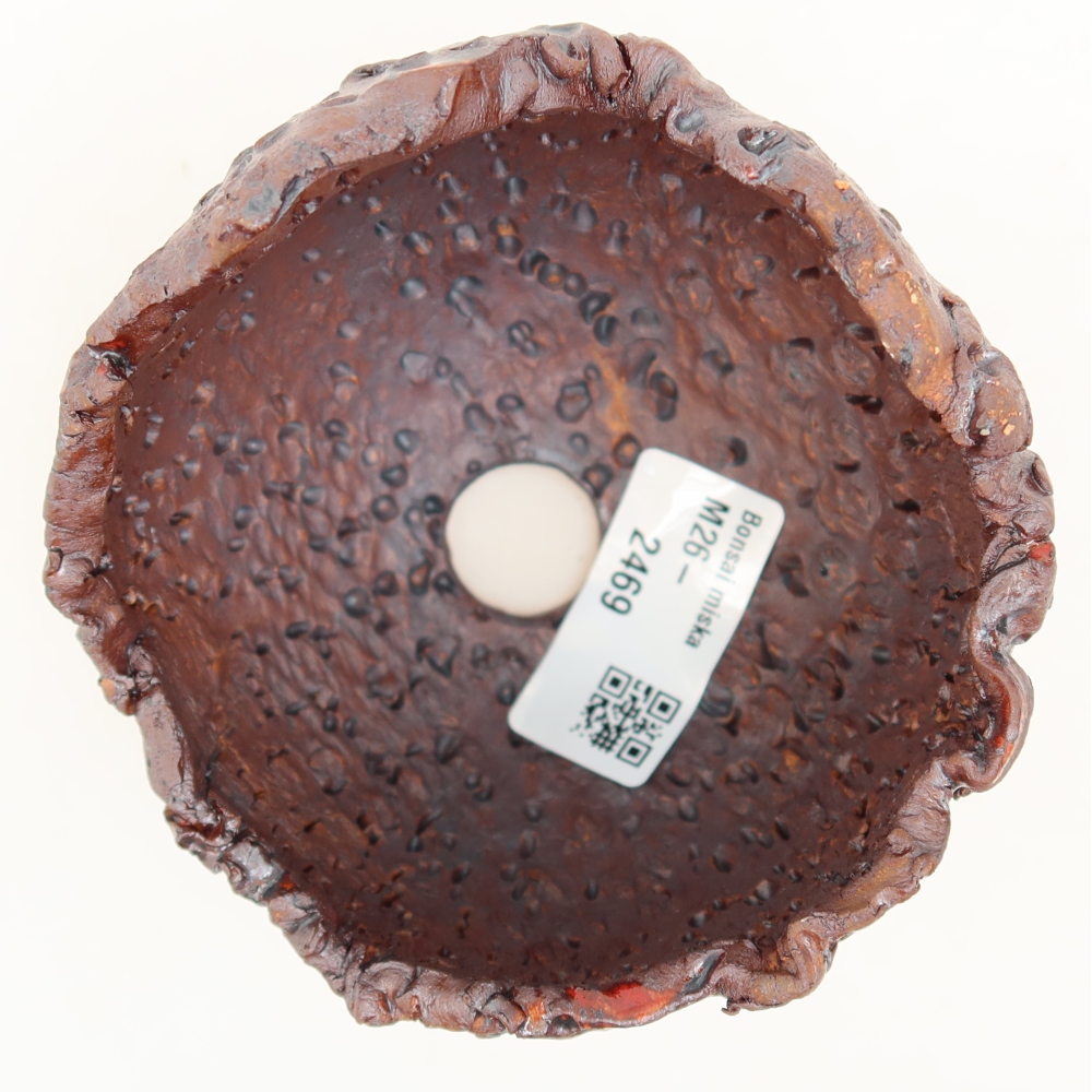 Guscio in ceramica  9,5 x 8,5 x 8 cm, colore metallizzato