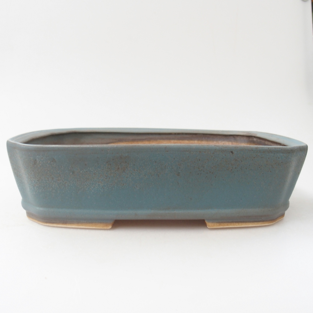 Ciotola bonsai in ceramica 24,5 x 21,5 x 6,5 cm, colore blu