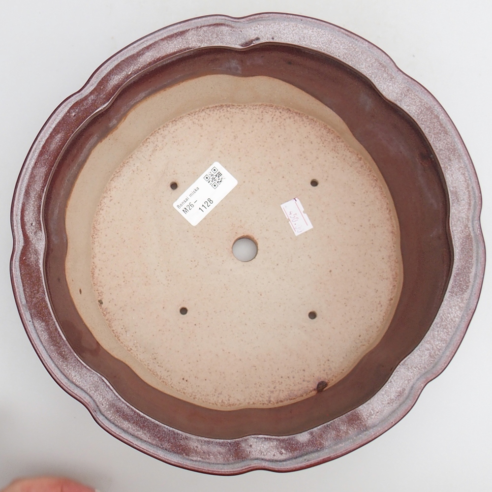Ciotola bonsai in ceramica 26 x 26 x 8 cm, bordeaux