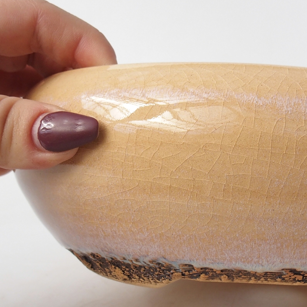 Ciotola per bonsai in ceramica 18 x 18 x 6 cm, colore beige