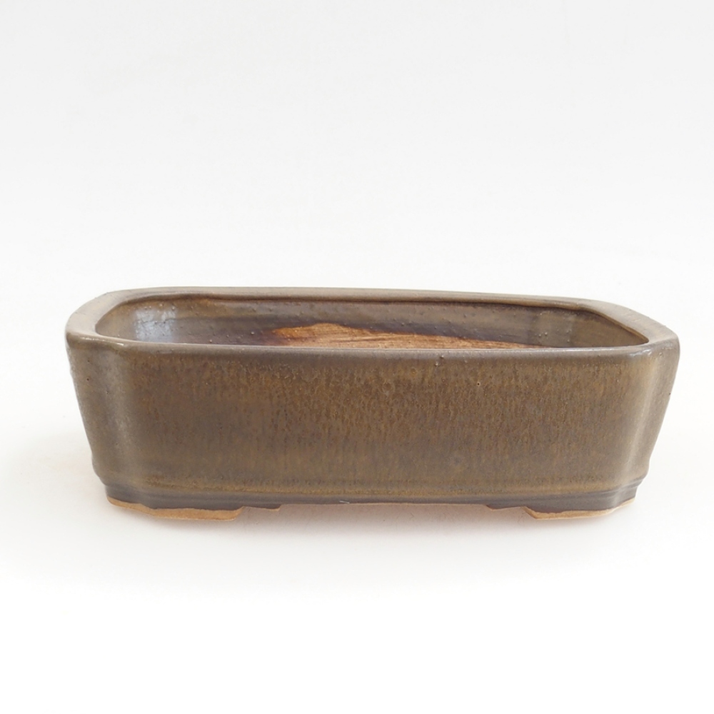 Ciotola per bonsai in ceramica 21 x 18 x 6 cm, marrone