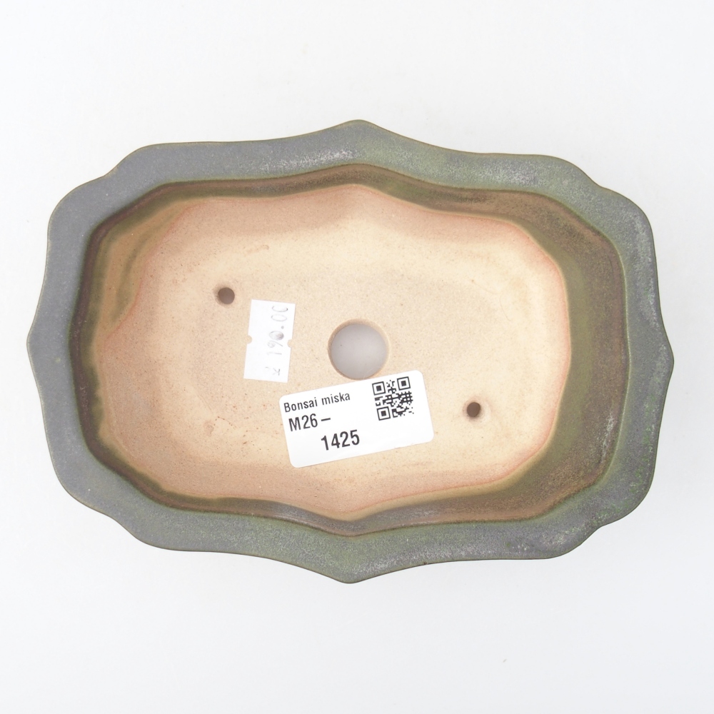 Ciotola bonsai in ceramica 15,5 x 11 x 4,5 cm, verde metallizzato