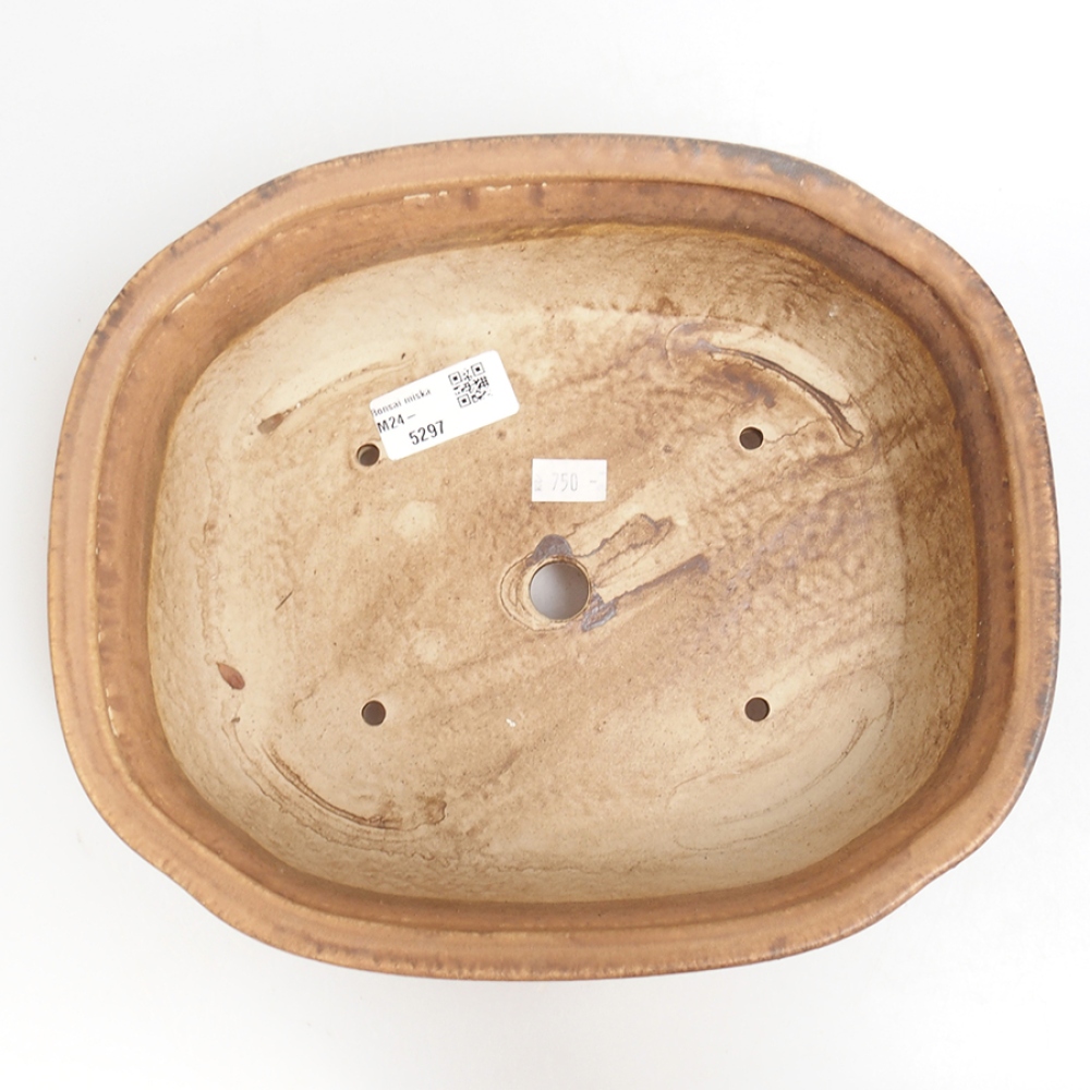 Ciotola bonsai in ceramica 25 x 21 x 7,5 cm, rosa