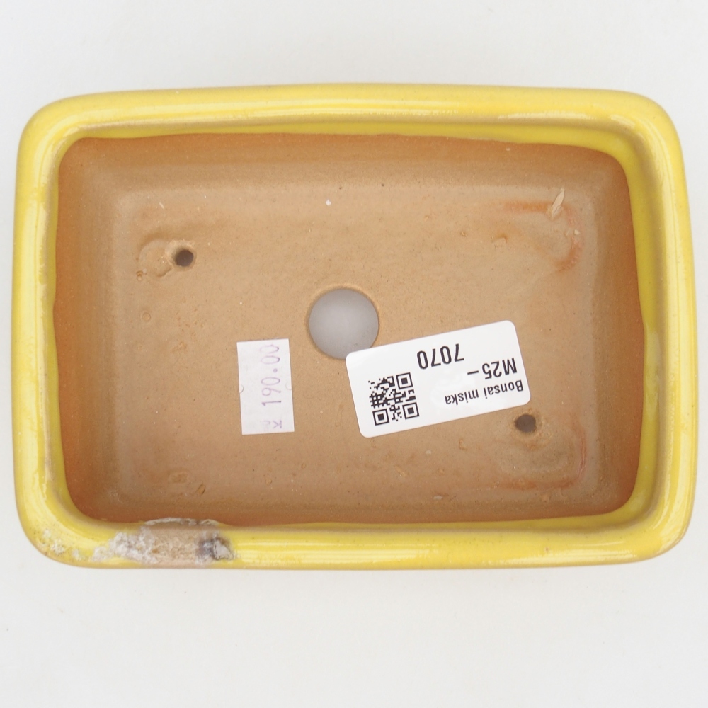 Ciotola bonsai in ceramica 26 x 26 x 8 cm, colore rosso