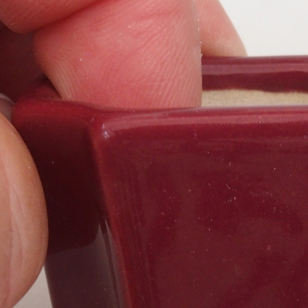 Mini bonsai 4 x 4 x 4 cm, bordeaux