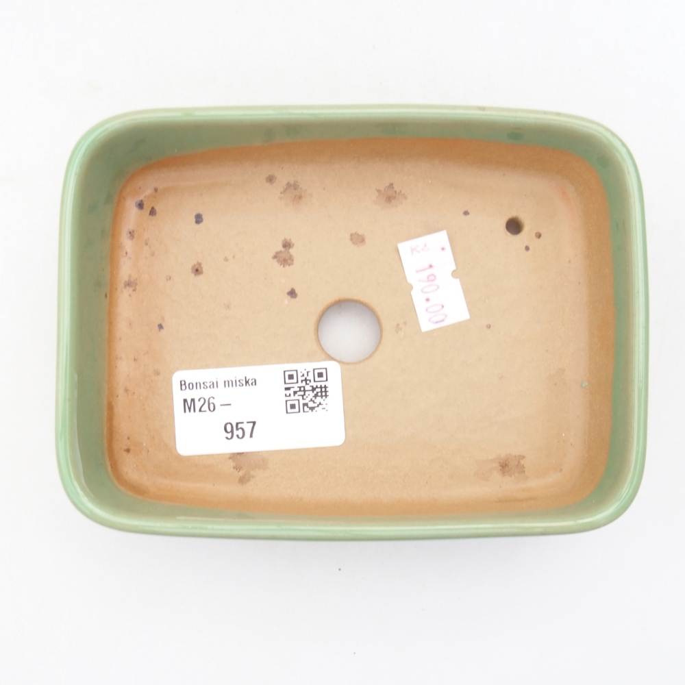 Ciotola per bonsai in ceramica 12,5 x 9 x 3,5 cm, verde