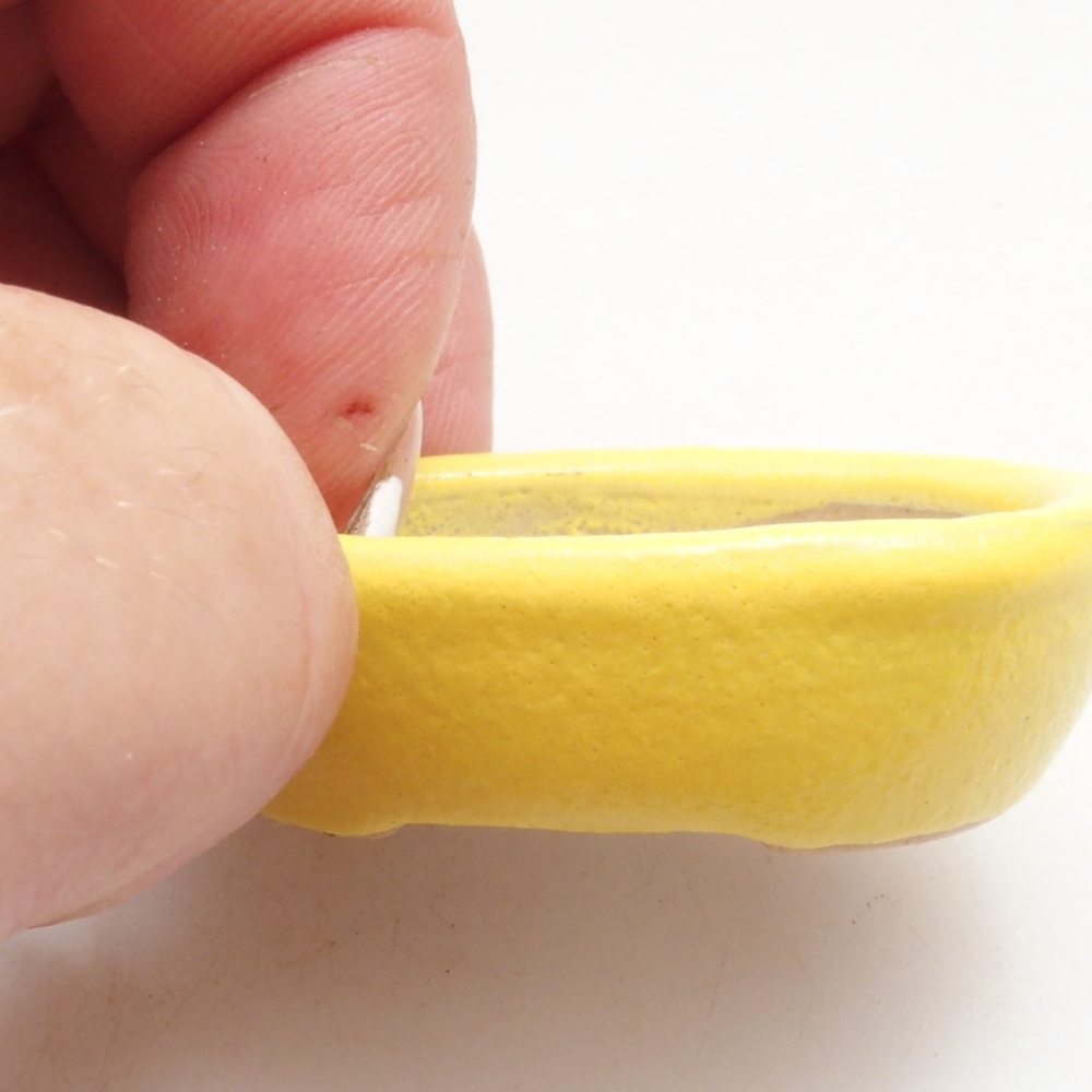 Ciotola bonsai in ceramica 4 x 3 x 1,5 cm, giallo