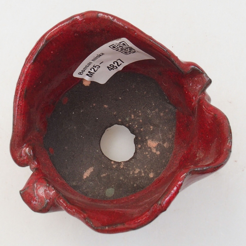 Guscio in ceramica 8 x 8 x 7,5 cm , colore rosso