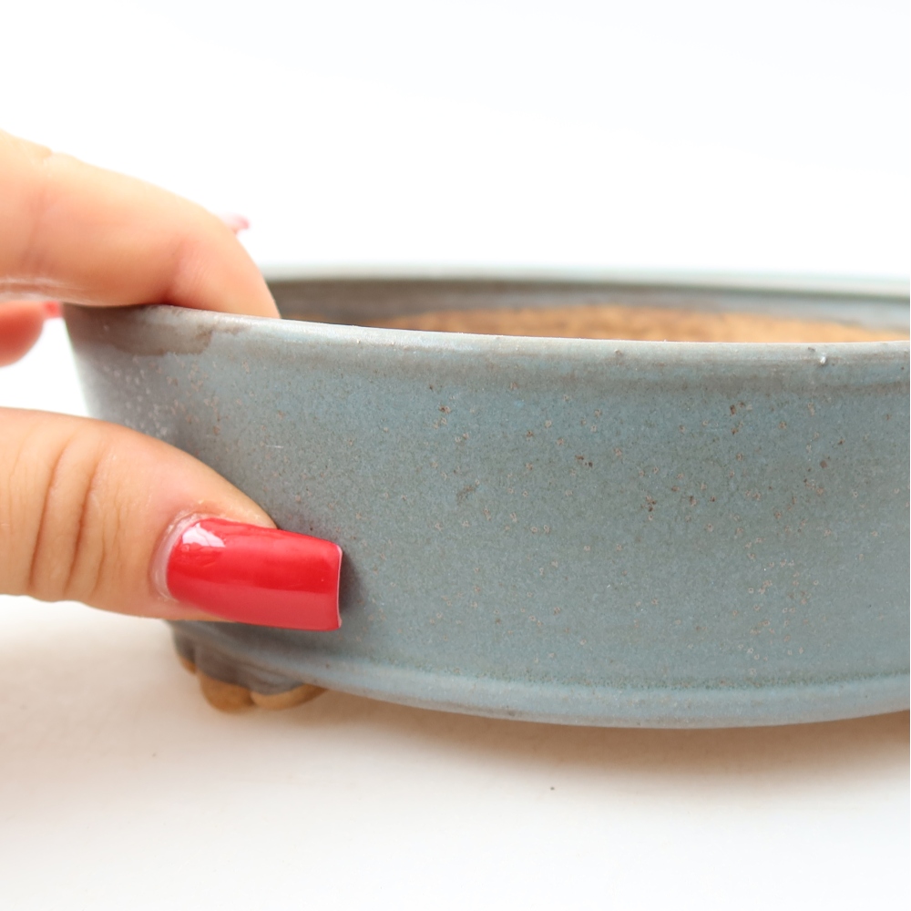 Vaso da bonsai in ceramica 15,5 x 15,5 x 5 cm, colore blu