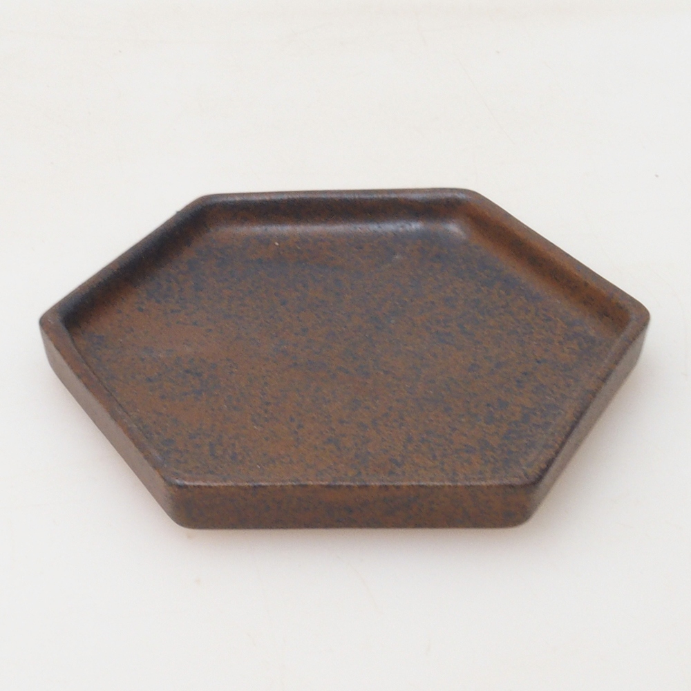 Bonsai esagono D3 - 11 x 9,5 x 1 cm - marrone