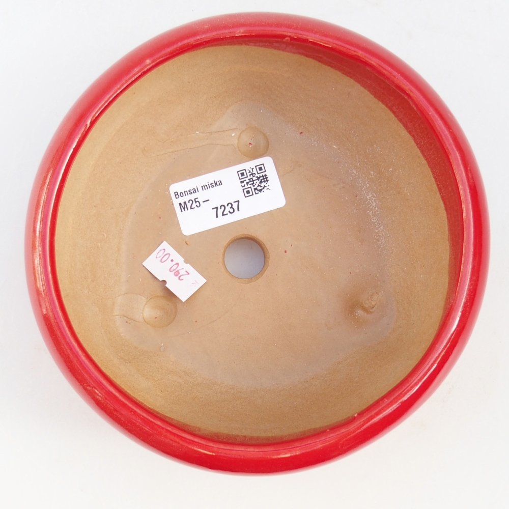Ciotola bonsai in ceramica 26 x 26 x 8 cm, colore rosso