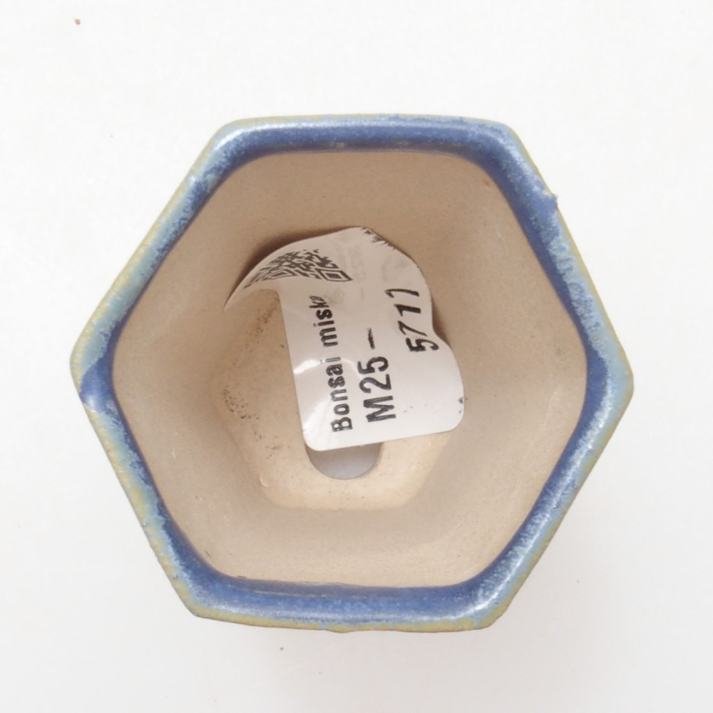 Mini bonsai 4,5 x 4,5 x 6,5 cm, colore blu