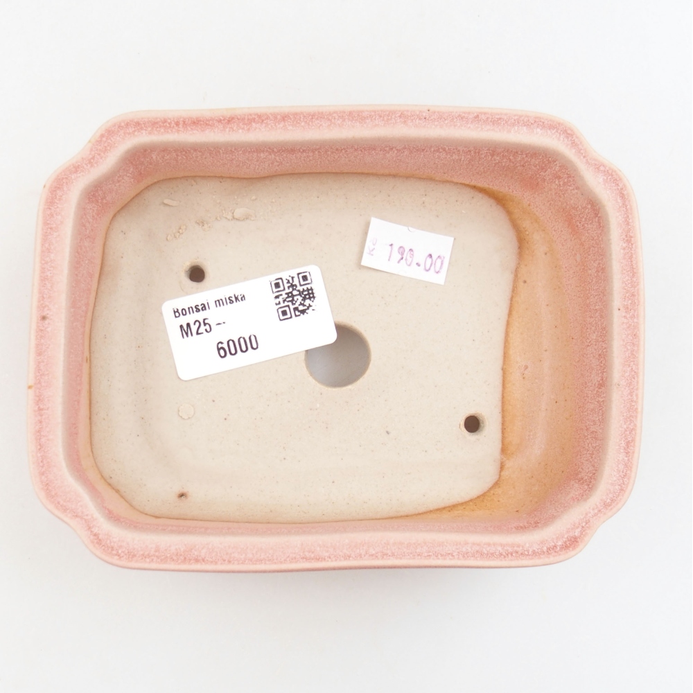 Ciotola bonsai in ceramica 22 x 17 x 5 cm, verde