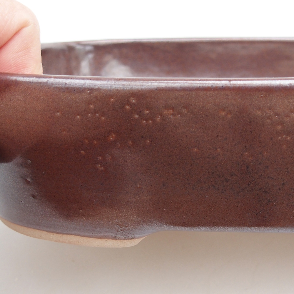 Ciotola bonsai in ceramica 23 x 18,5 x 5,5 cm, marrone