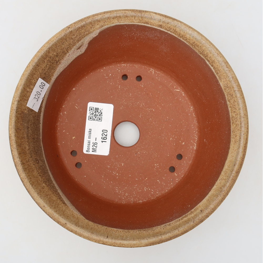 Ciotola per bonsai in ceramica 16 x 16 x 5 cm, marrone