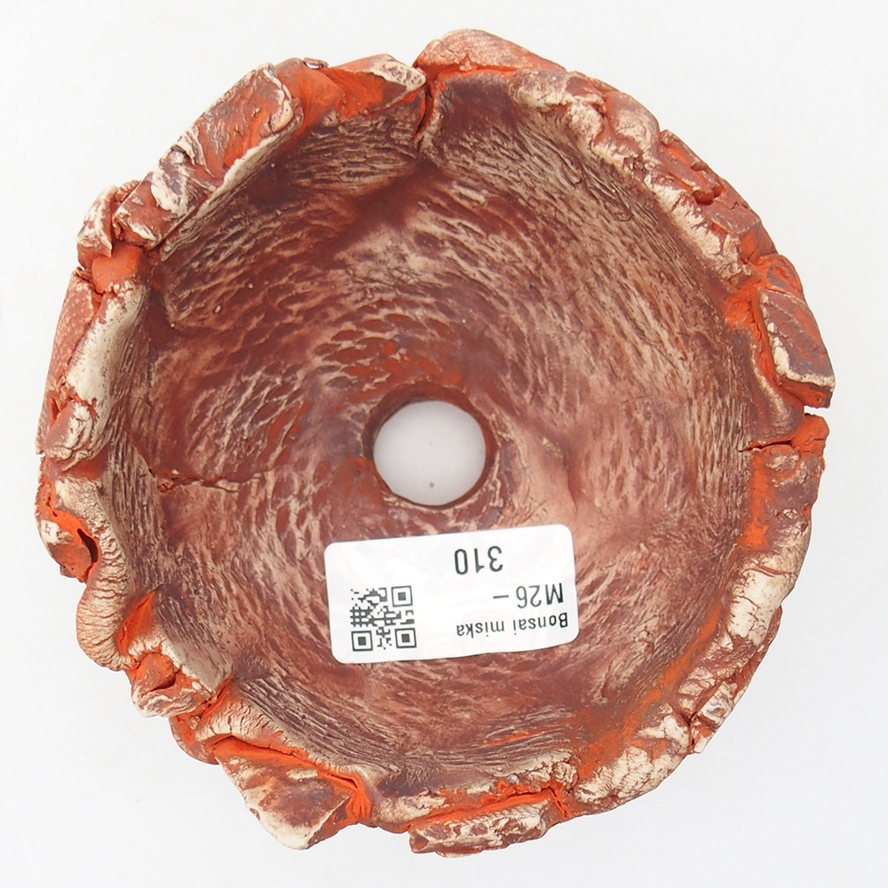 Conchiglia in ceramica 11 x 11 x 6,5 cm , colore arancione