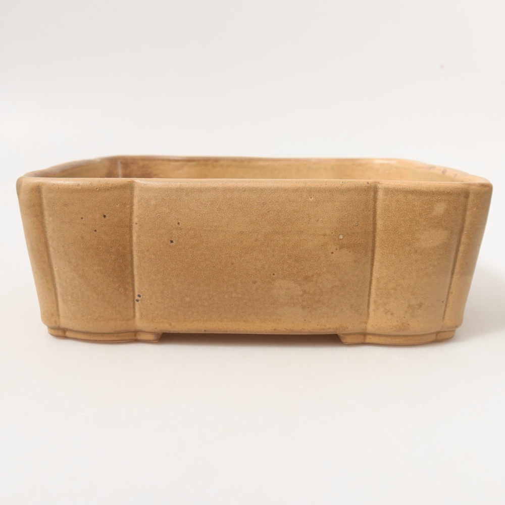 Vaso da bonsai in ceramica 20,5 x 17,5 x 7 cm, colore beige