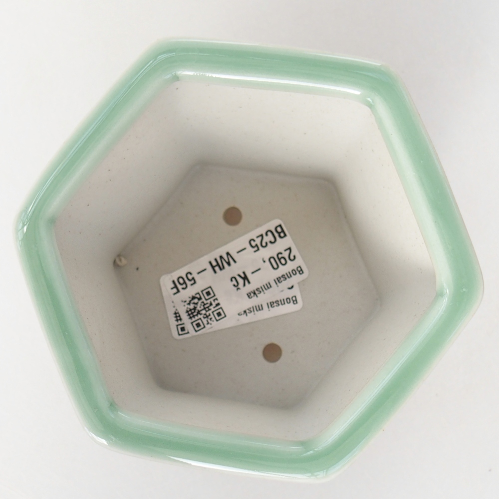 Ciotola per bonsai in ceramica 10,5 x 9,5 x 8,5 cm, verde