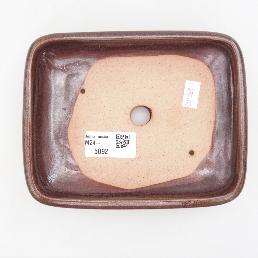 Ciotola bonsai in ceramica 17 x 14 x 3,5 cm, marrone