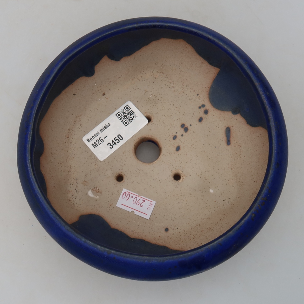 Vaso in ceramica per bonsai 15 x 15 x 6,5 cm, colore blu