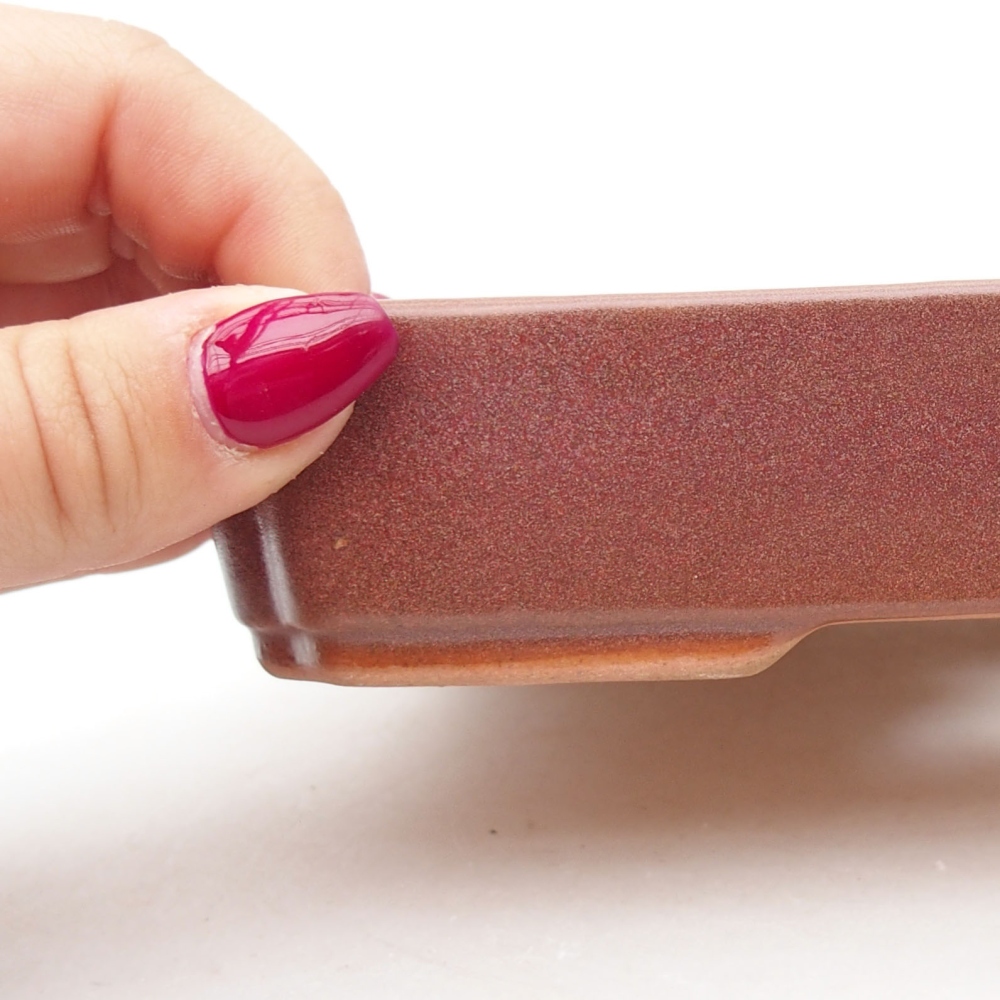 Ciotola bonsai in ceramica 18 x 13 x 3 cm, bordeaux