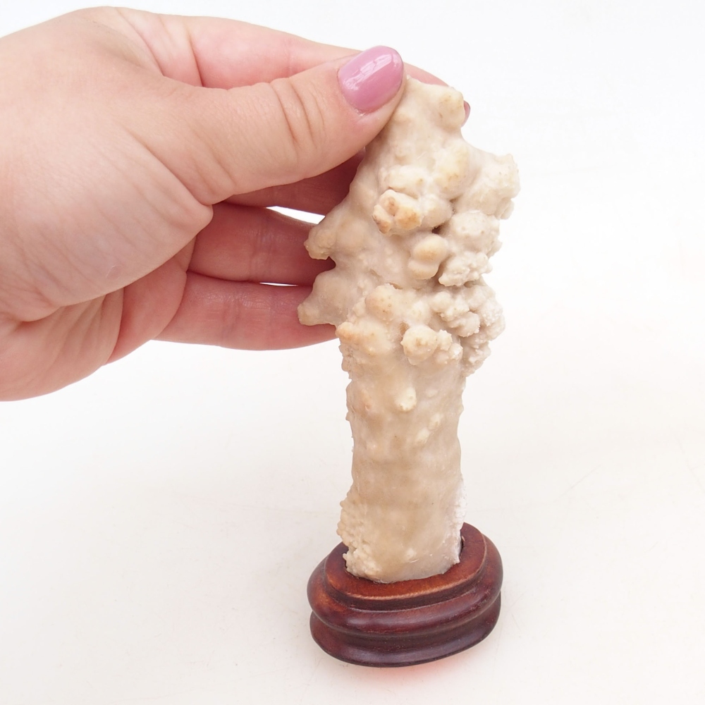 Suiseki - Pietra con DAI (base in legno)