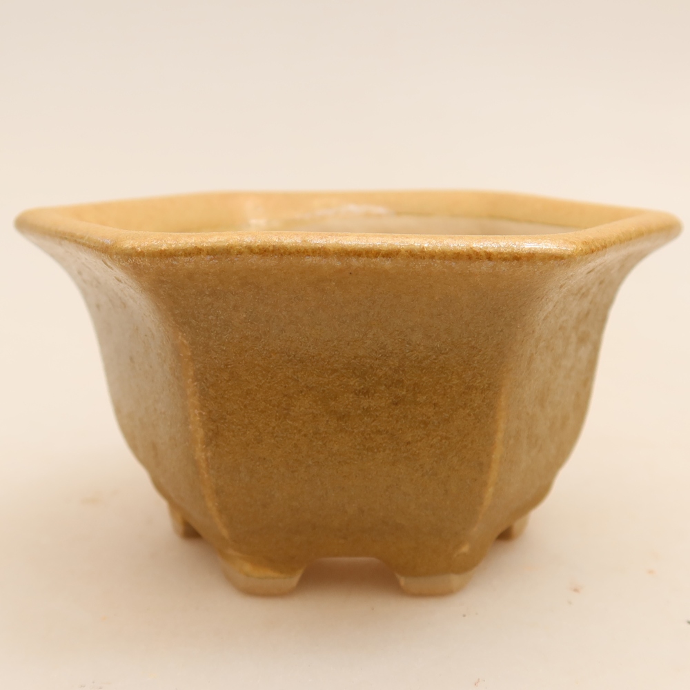 Vaso da bonsai in ceramica 10,5 x 9,5 x 5,5 cm, colore beige