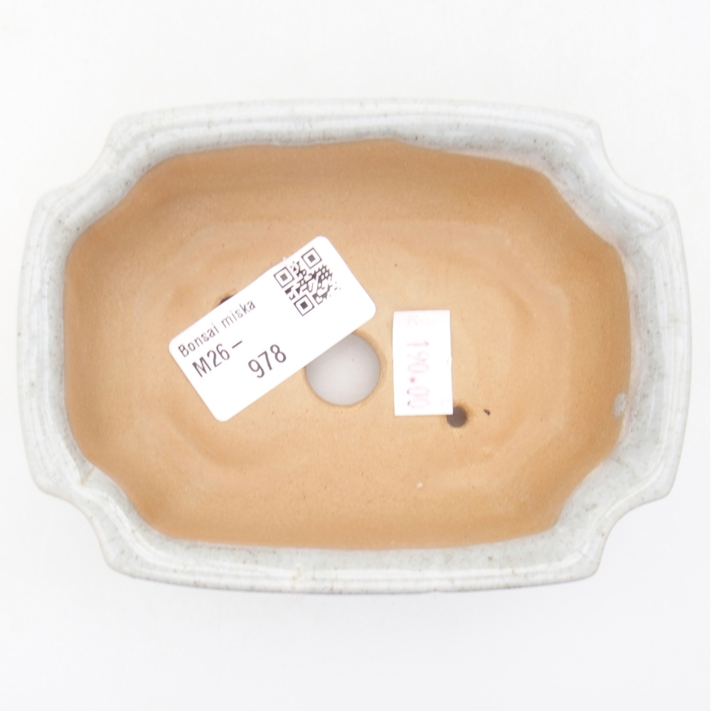 Ciotola per bonsai in ceramica 11,5 x 8,5 x 4 cm, colore beige