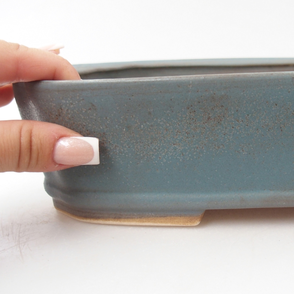 Ciotola bonsai in ceramica 24,5 x 21,5 x 6,5 cm, colore blu