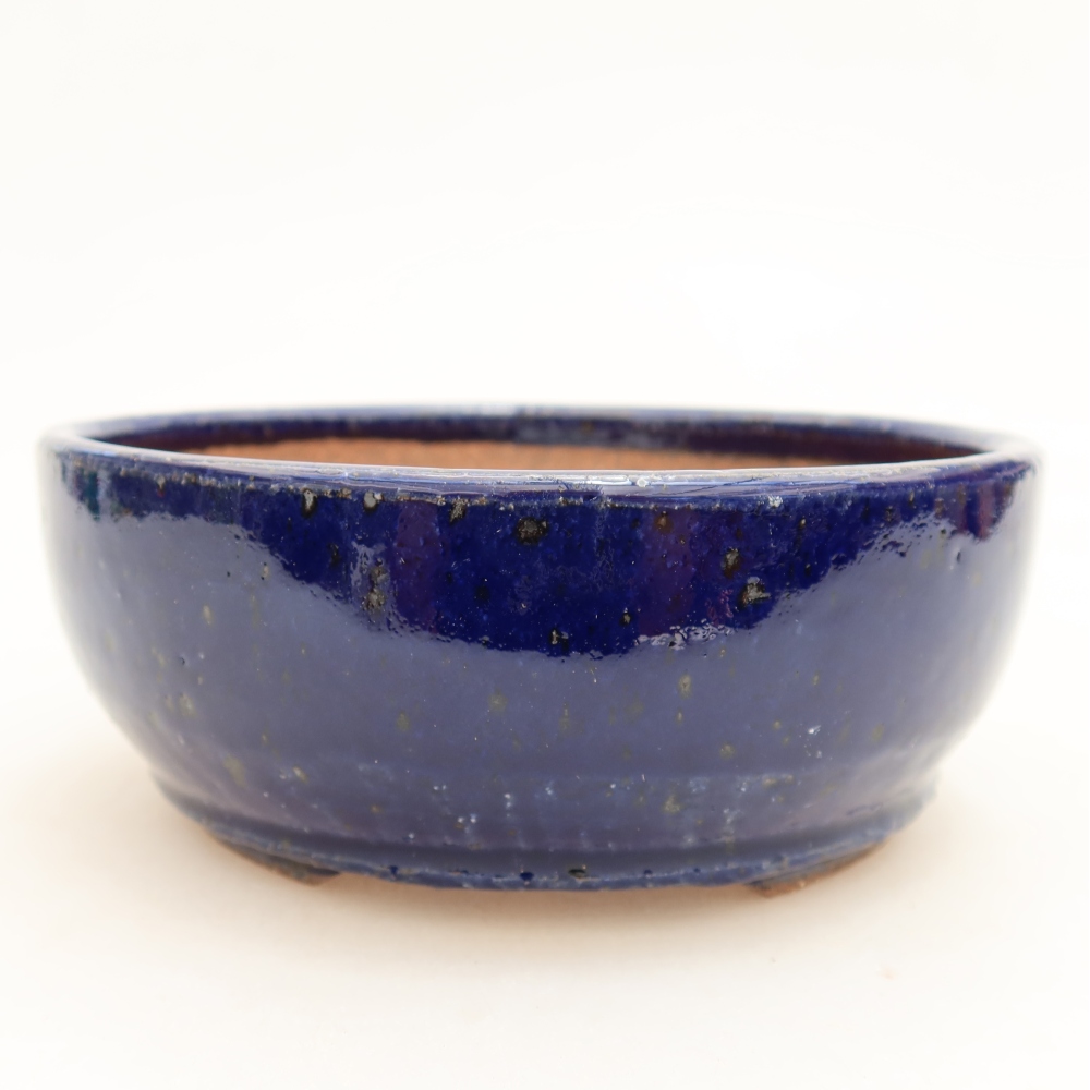 Ciotola bonsai in ceramica 13,5 x 13,5 x 5 cm, colore blu