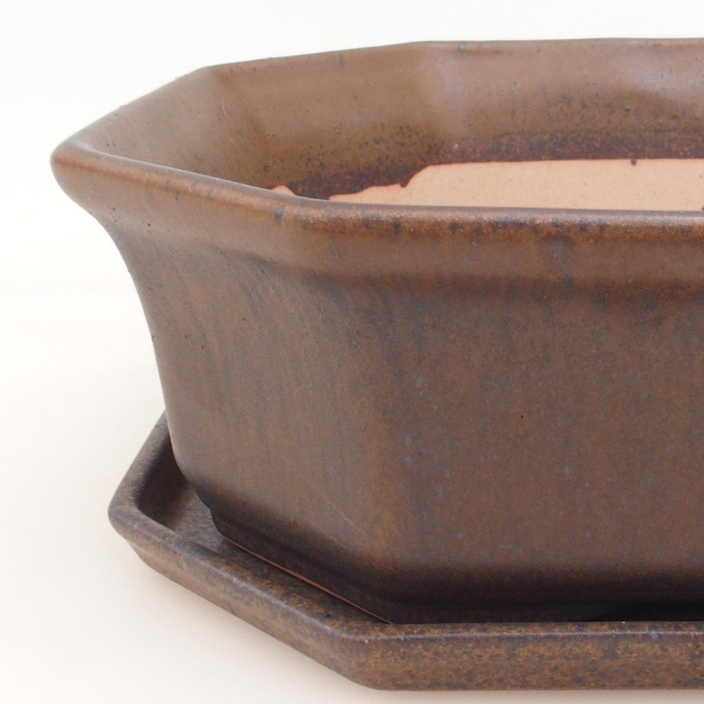 Ciotola bonsai + piattino H14 - marrone